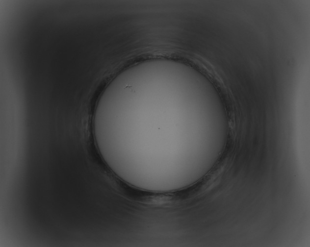 X0000100890462200806241012