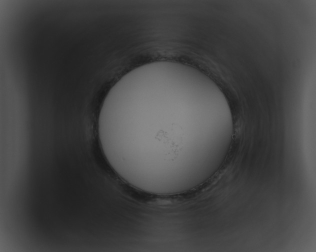 X0000100890464200806241012