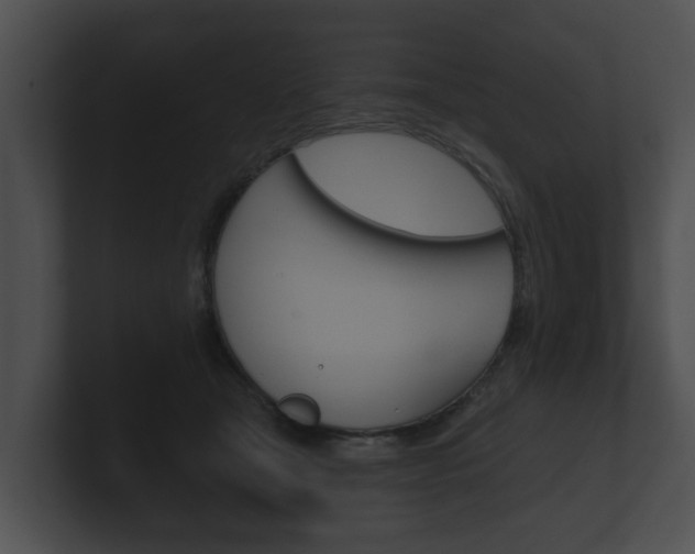 X0000100890465200806241012