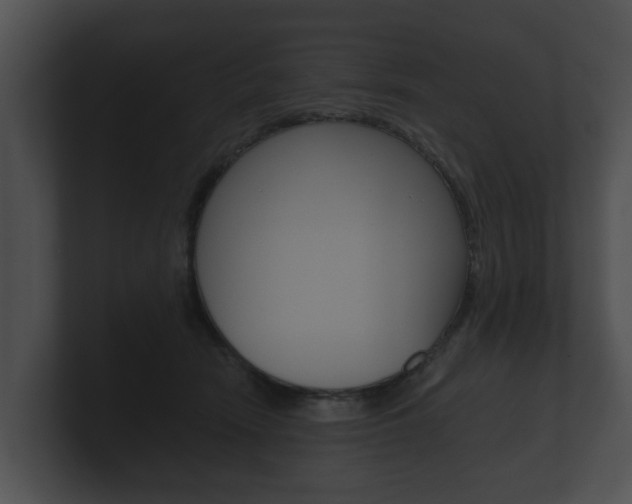 X0000100890466200806241013