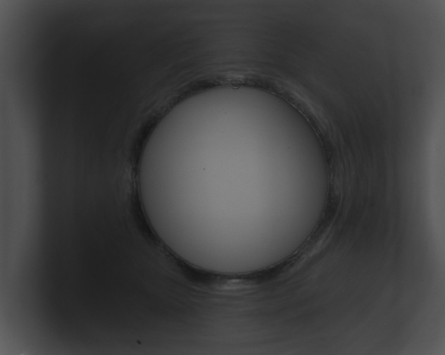 X0000100890467200806241013