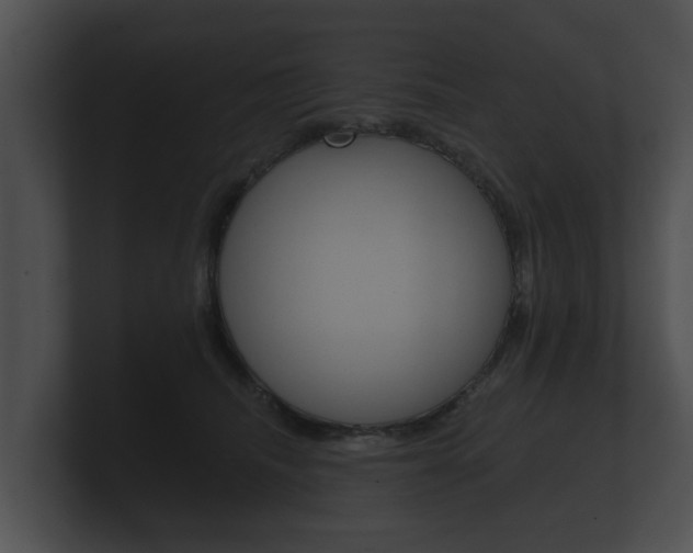 X0000100890468200806241013