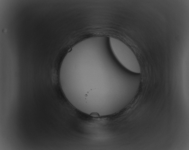 X0000100890469200806241013