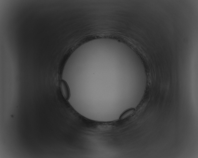X0000100890470200806241013