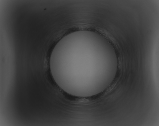 X0000100890471200806241013