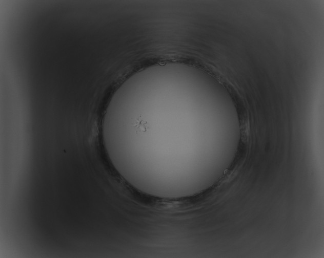 X0000100890472200806241013