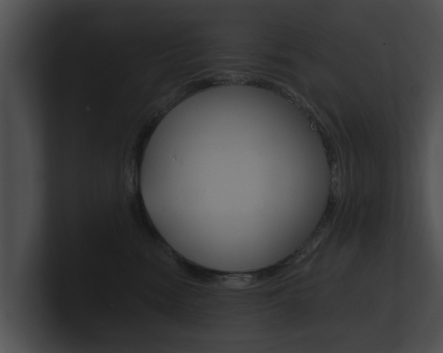 X0000100890474200806241013