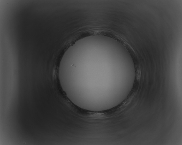 X0000100890476200806241013