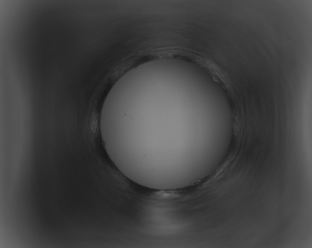 X0000100890477200806241013