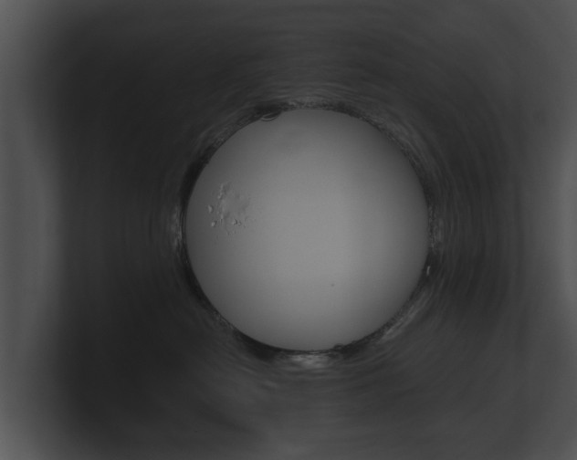 X0000100890478200806241013
