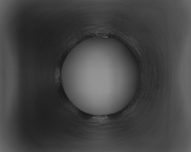 X0000100890480200806241013