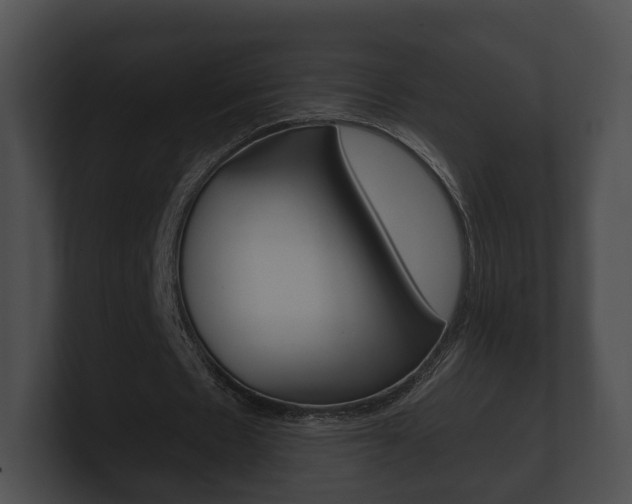 X0000100890481200806241012