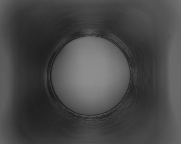 X0000100890482200806241012