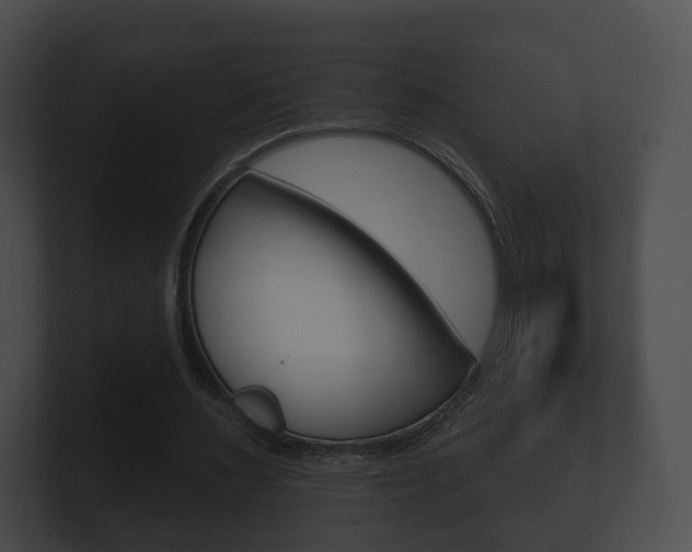 X0000100890483200806241012