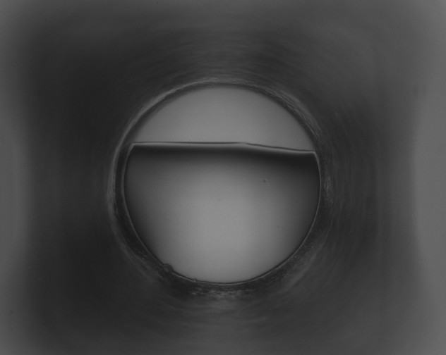 X0000100890484200806241012