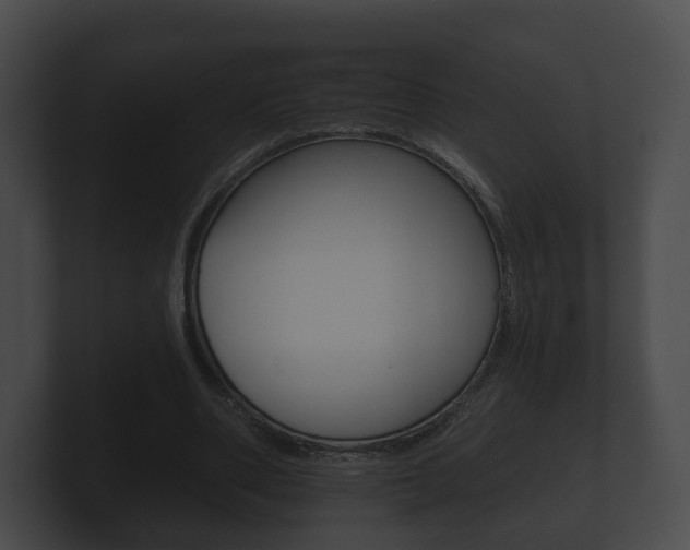 X0000100890486200806241012