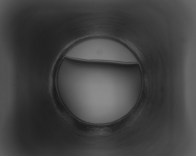 X0000100890488200806241012