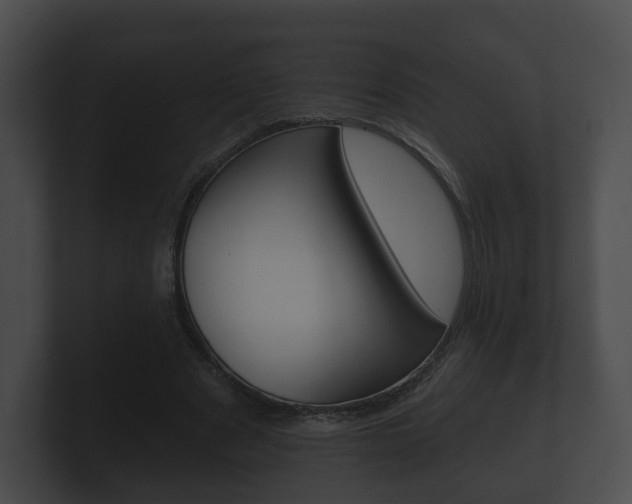 X0000100890489200806241012