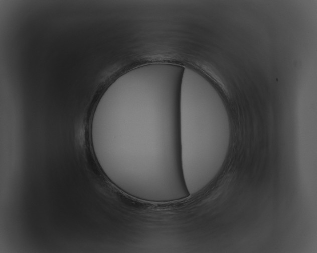 X0000100890491200806241012