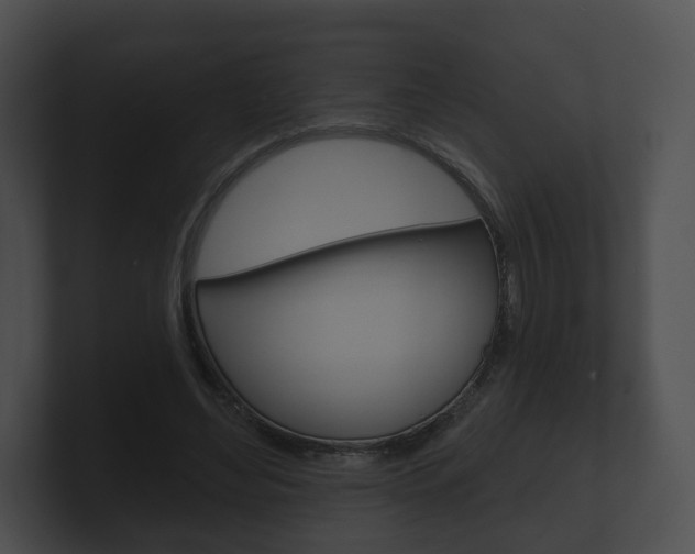 X0000100890492200806241012
