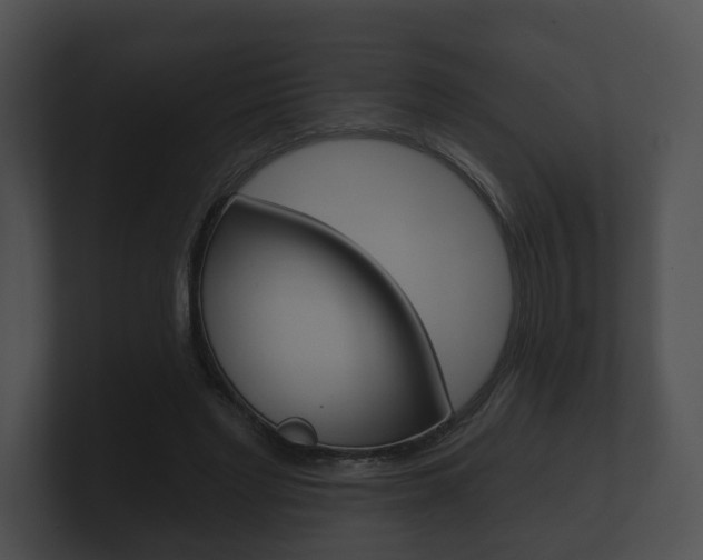 X0000100890493200806241012