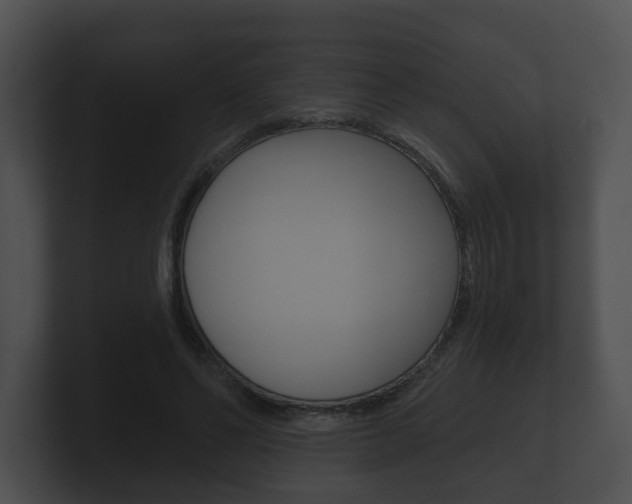 X0000100890494200806241012