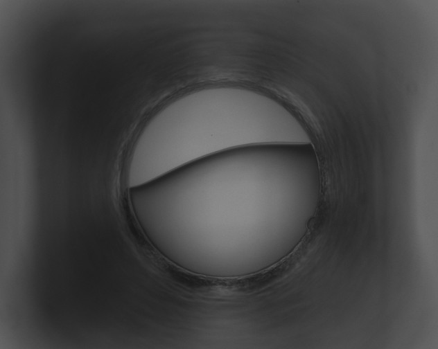 X0000100890496200806241012