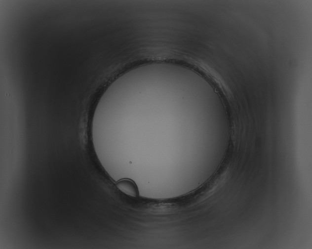 X0000100890497200806241012