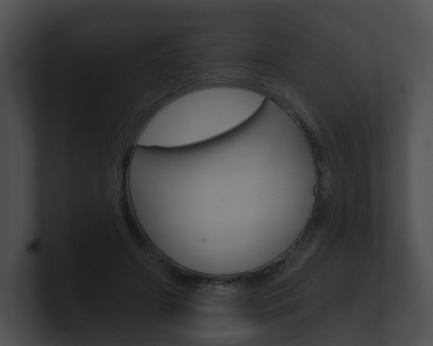 X0000100890498200806241012