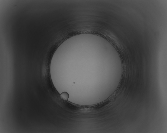 X0000100890499200806241012