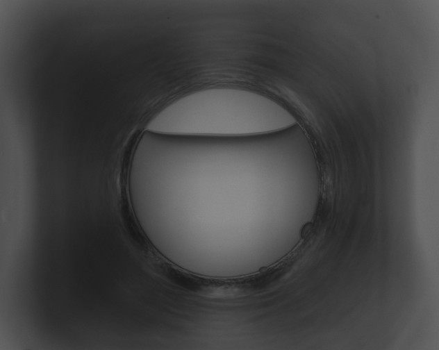 X0000100890500200806241012