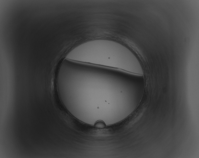 X0000100890501200806241012