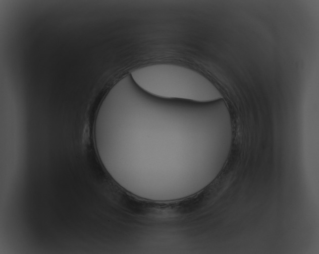 X0000100890502200806241012