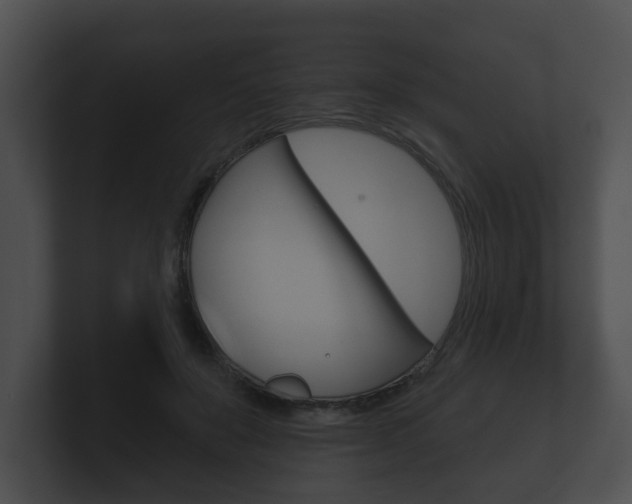 X0000100890503200806241012