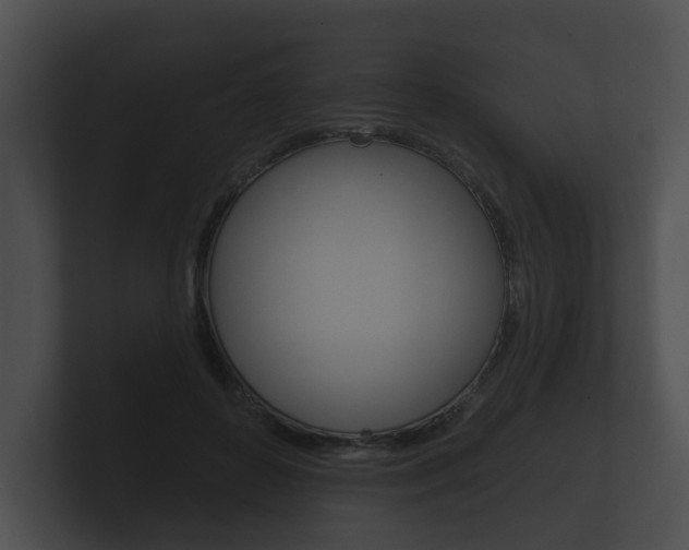 X0000100890504200806241012