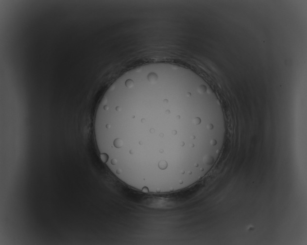 X0000100890507200806241012