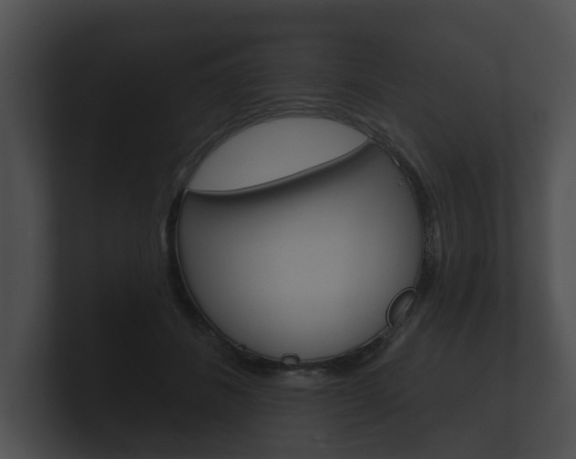 X0000100890508200806241012