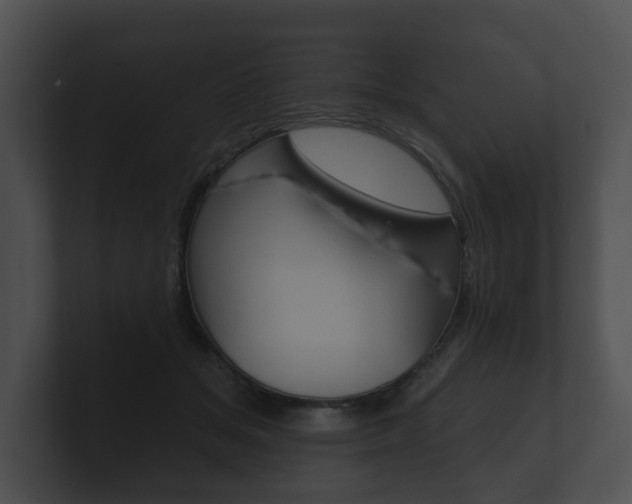 X0000100890509200806241012