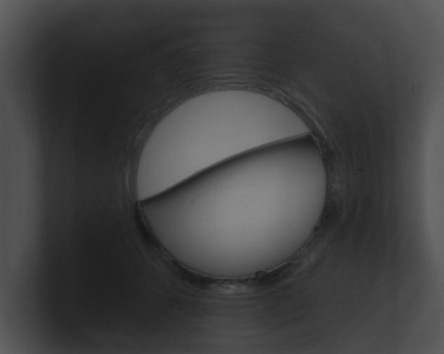X0000100890512200806241012