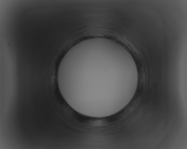 X0000100890513200806241012