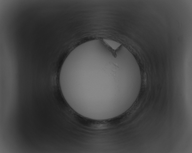 X0000100890514200806241012