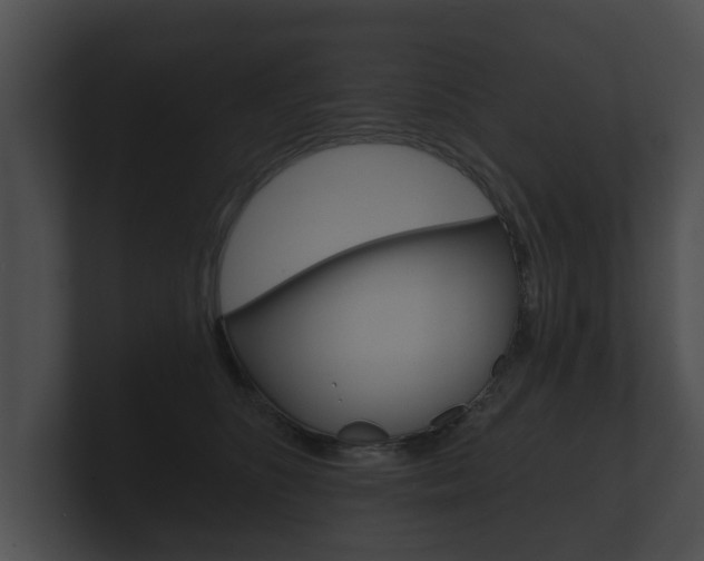 X0000100890516200806241012