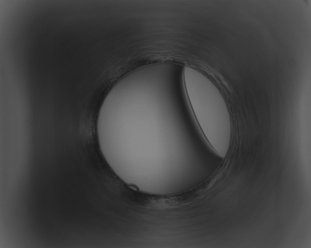 X0000100890517200806241011