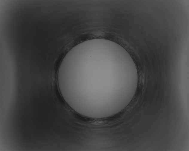 X0000100890518200806241011