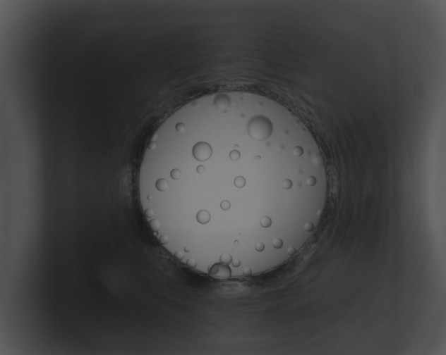 X0000100890519200806241011