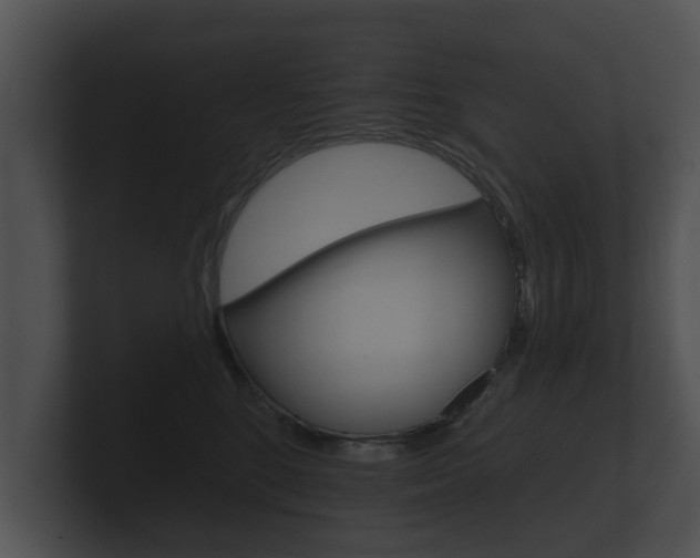 X0000100890520200806241011