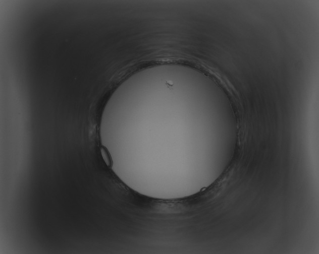 X0000100890521200806241011