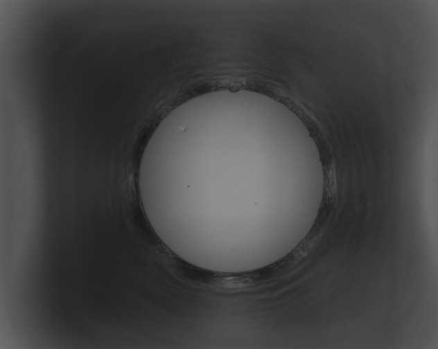X0000100890522200806241011