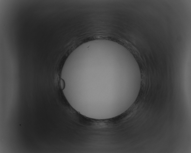 X0000100890523200806241011