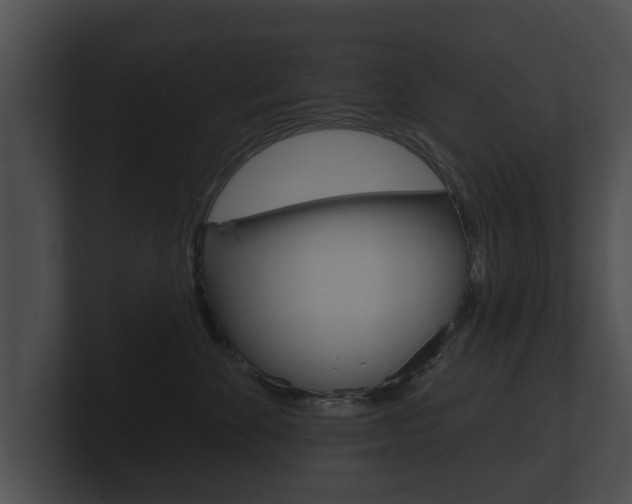 X0000100890524200806241011